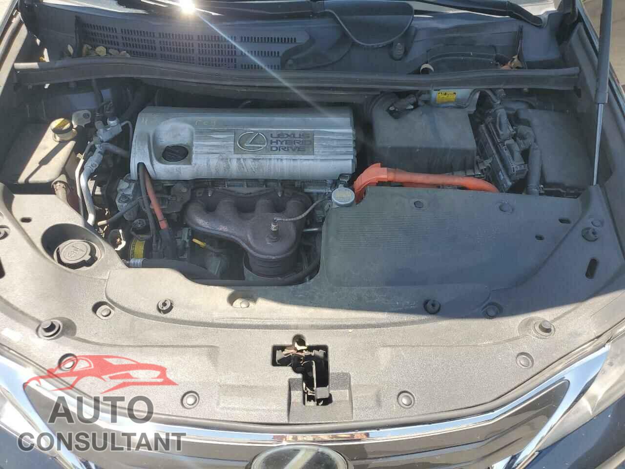 LEXUS HS 2010 - JTHBB1BA3A2021556