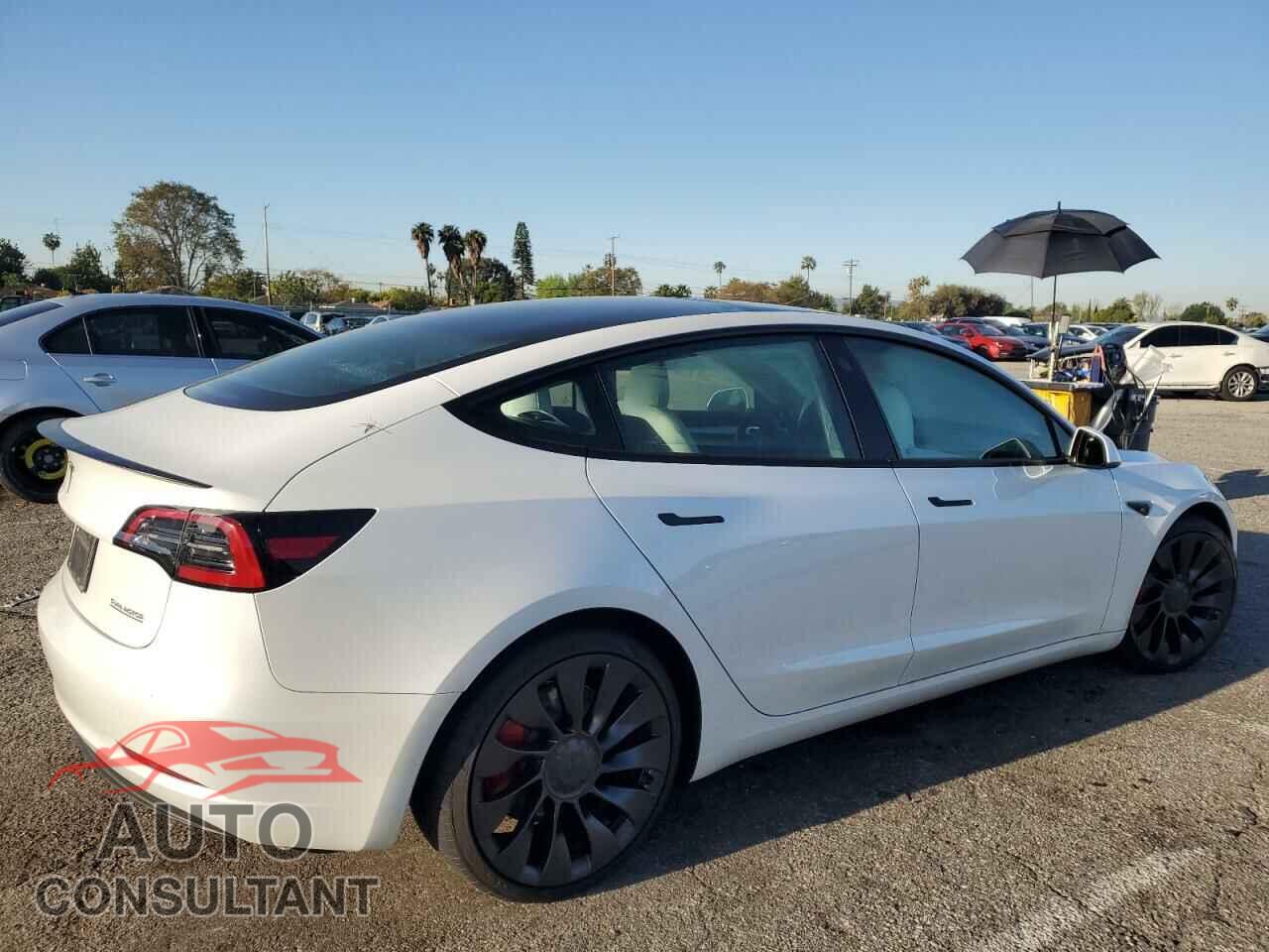TESLA MODEL 3 2023 - 5YJ3E1EC0PF551256