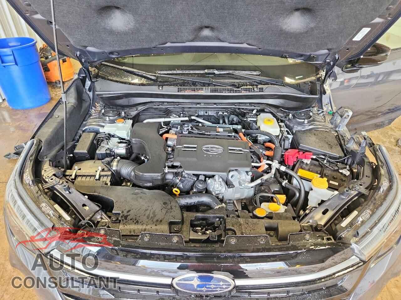 SUBARU FORESTER 2025 - JF2SLSTD5SH442000