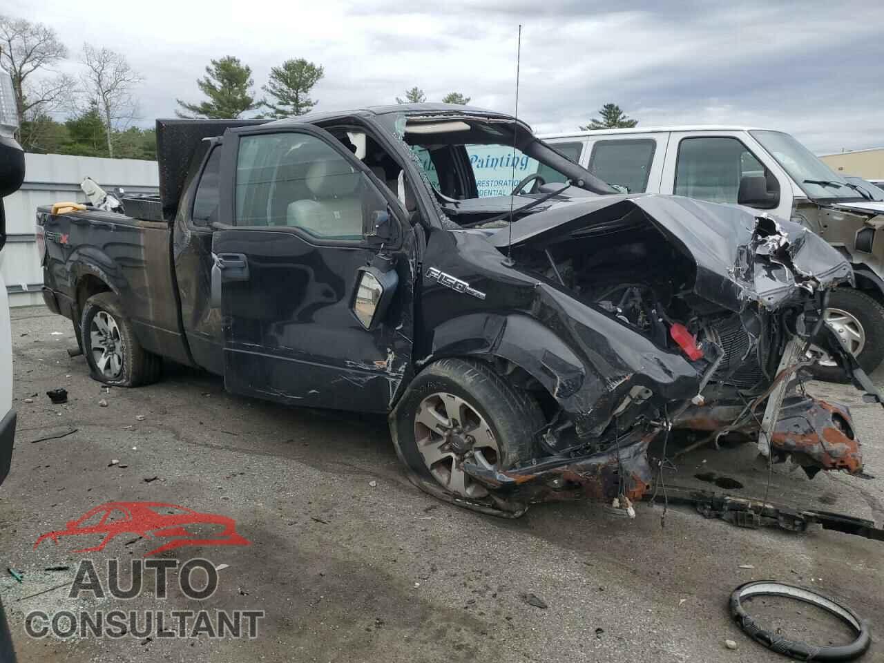 FORD F-150 2013 - 1FTFX1EF0DFD29518
