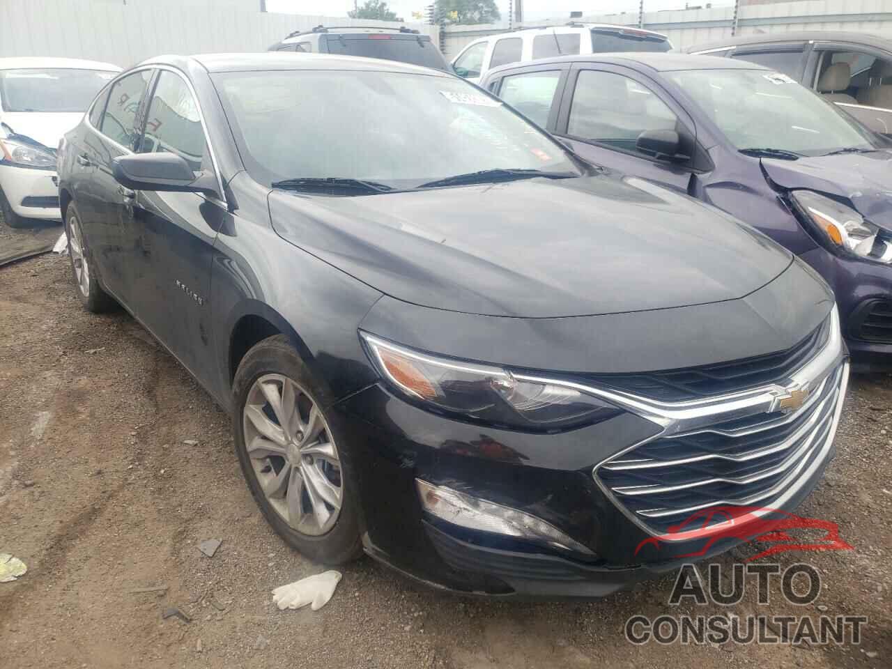 CHEVROLET MALIBU 2019 - 1G1ZD5ST4KF164554