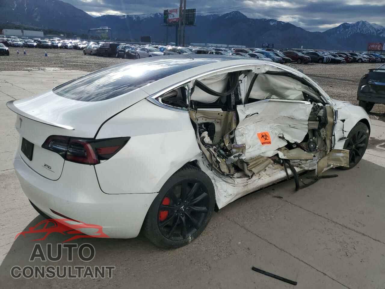 TESLA MODEL 3 2020 - 5YJ3E1EC2LF624427
