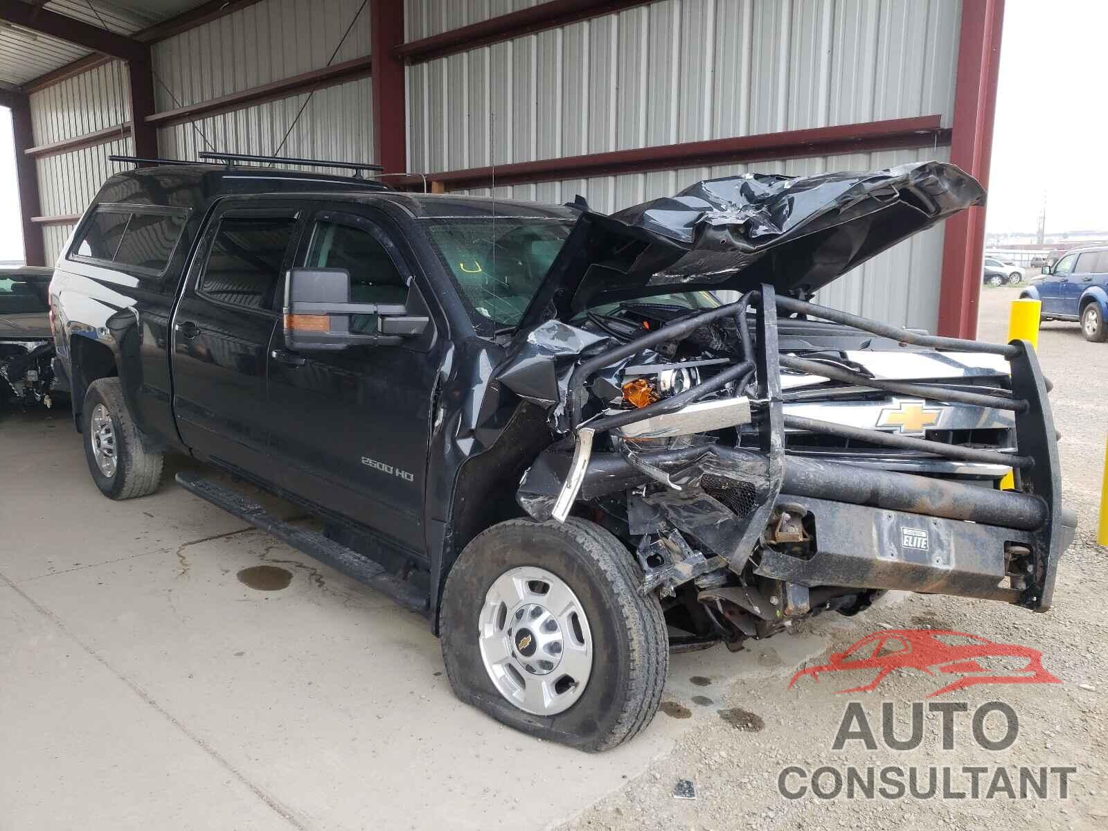 CHEVROLET SILVERADO 2019 - 1GC1KSEY2KF175049