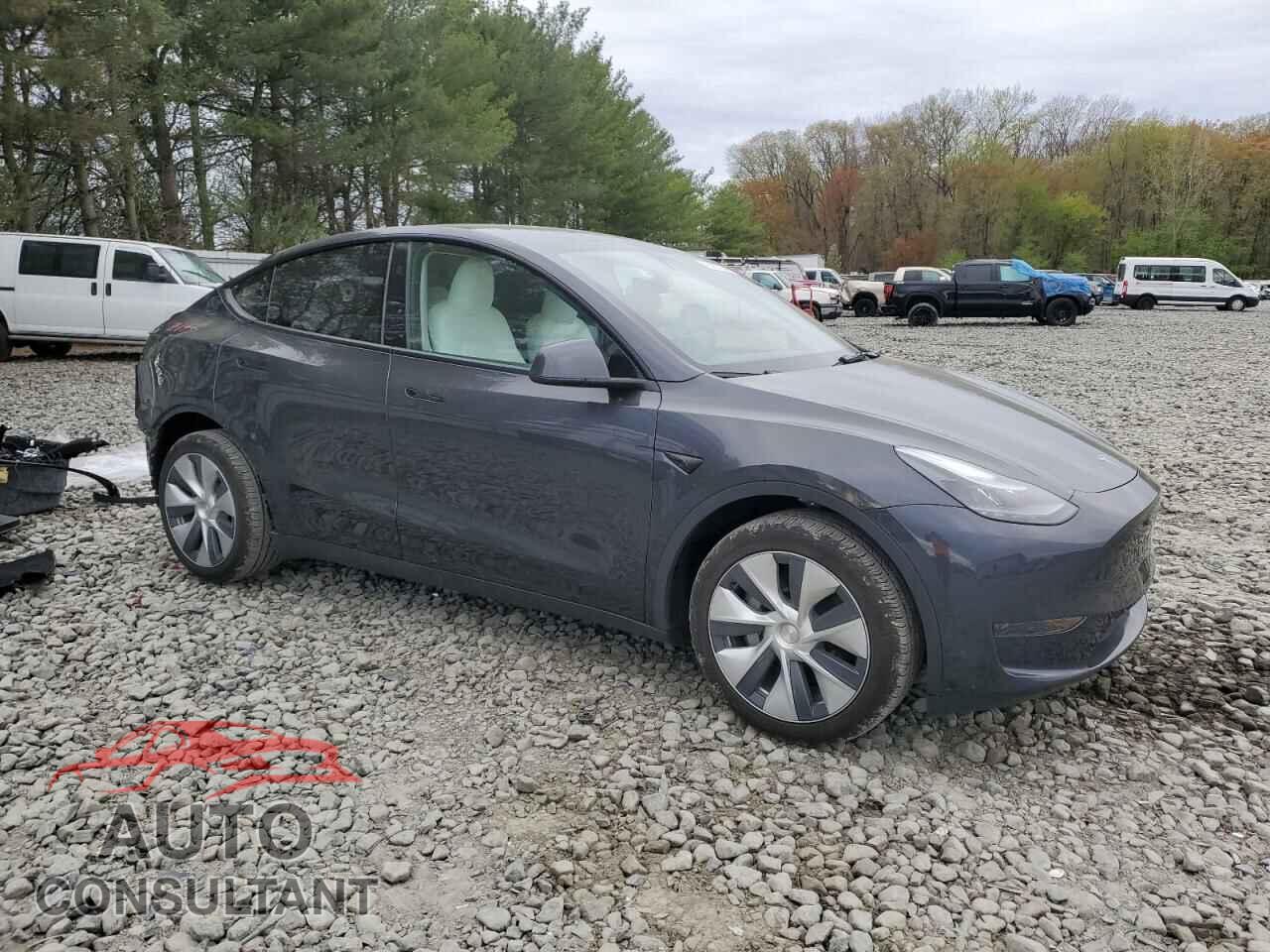TESLA MODEL Y 2024 - 7SAYGDED5RF009554