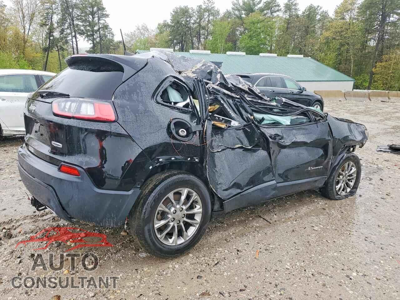 JEEP CHEROKEE 2019 - 1C4PJMLX0KD287766