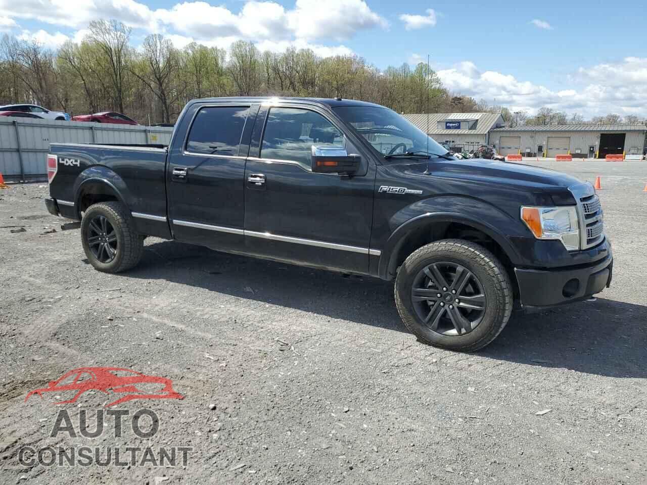 FORD F-150 2010 - 1FTFW1EV6AFD48385