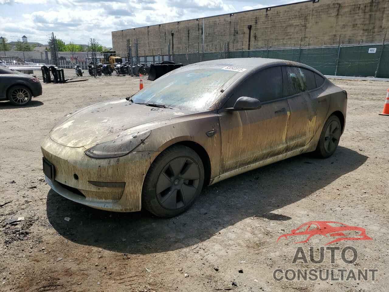 TESLA MODEL 3 2021 - 5YJ3E1EA1MF096234