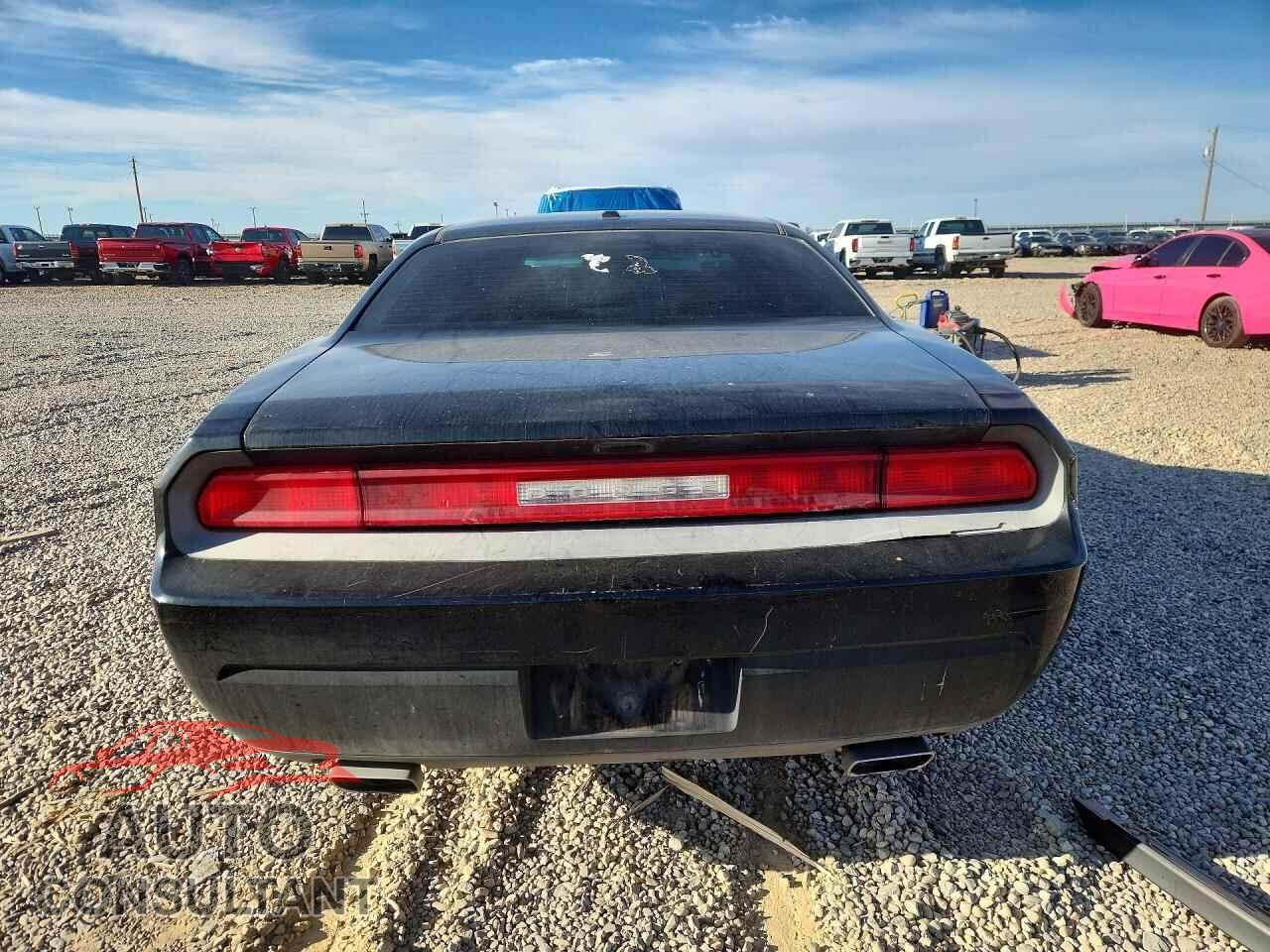 DODGE CHALLENGER 2014 - 2C3CDYAG9EH213354
