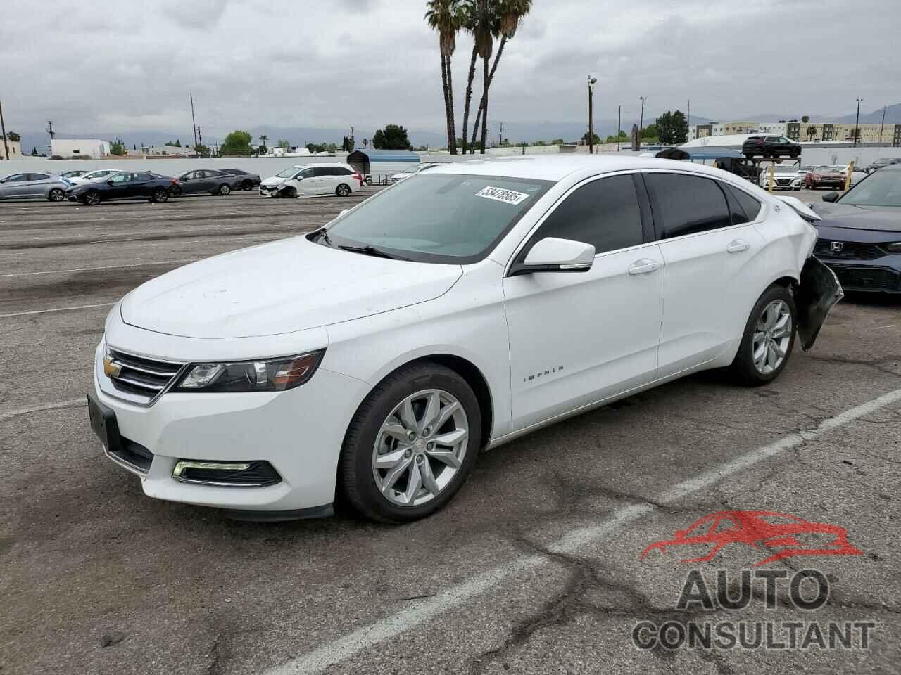 CHEVROLET IMPALA 2019 - 2G11Z5S33K9127907