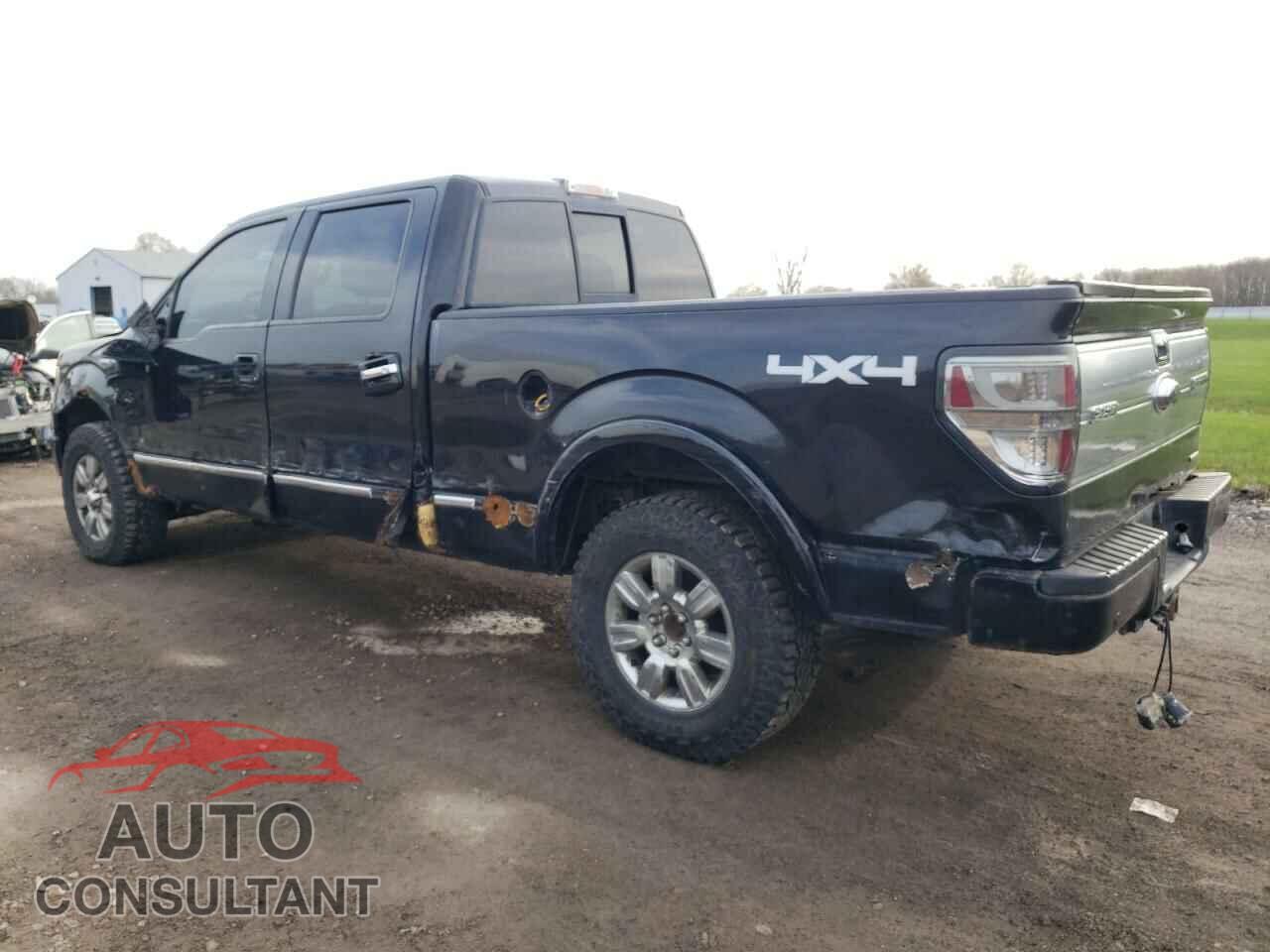 FORD F-150 2011 - 1FTFW1EF7BFA80764