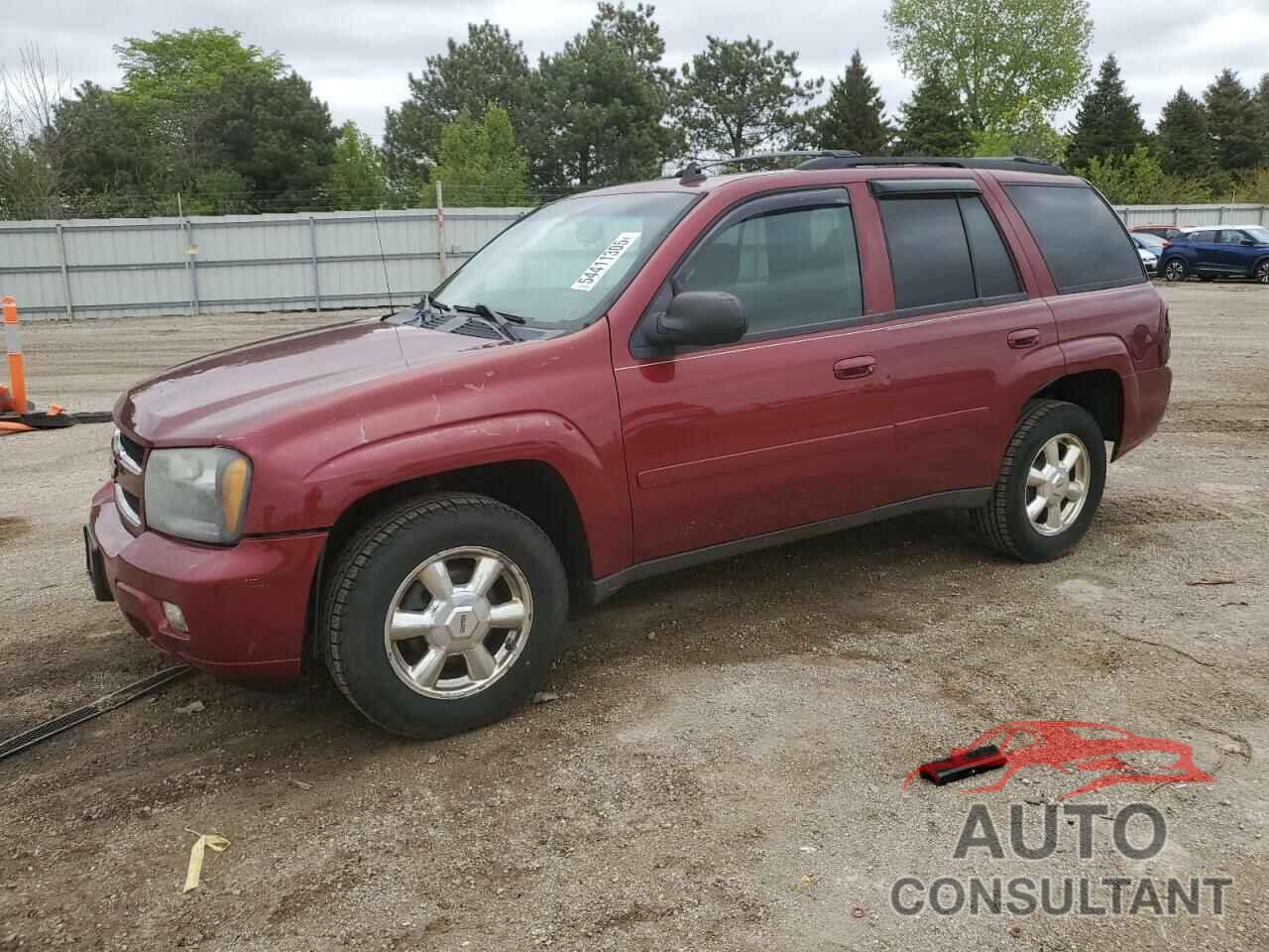 CHEVROLET TRAILBLZR 2009 - 1GNDS33SX92101971