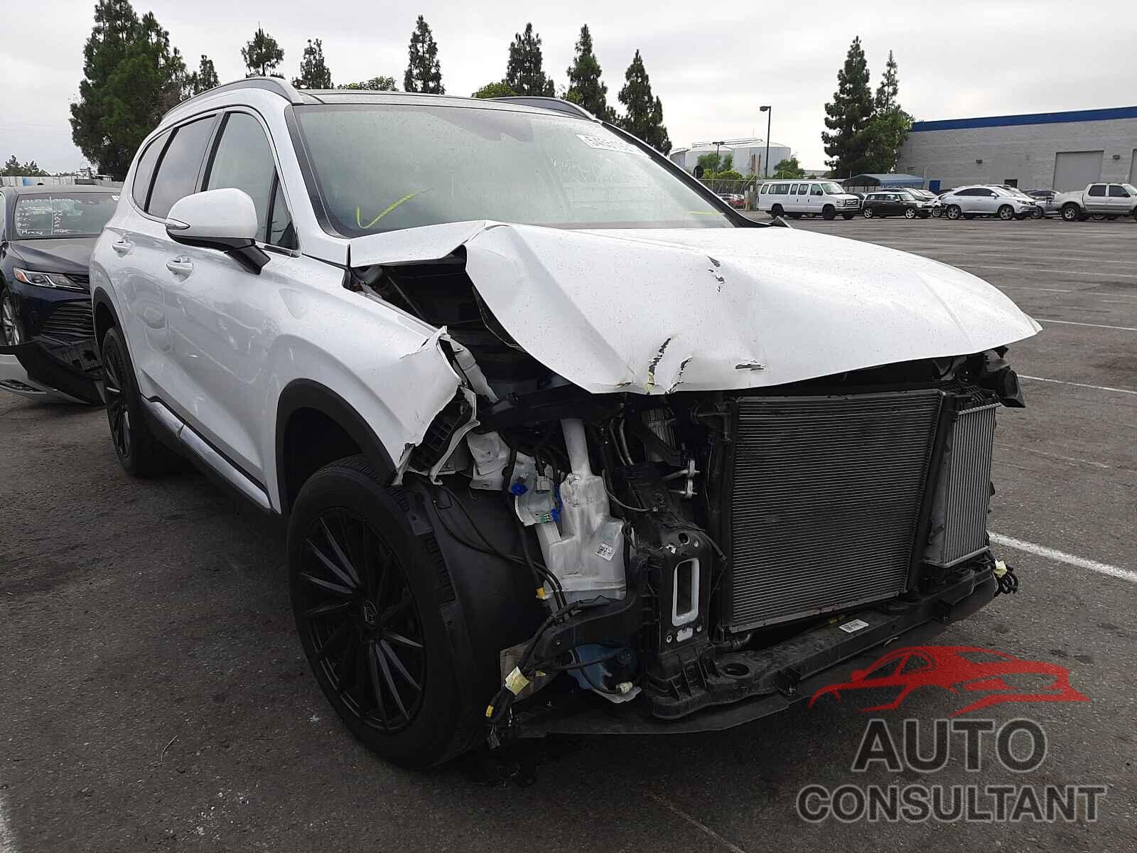 HYUNDAI SANTA FE 2019 - 5NMS53AA4KH074091