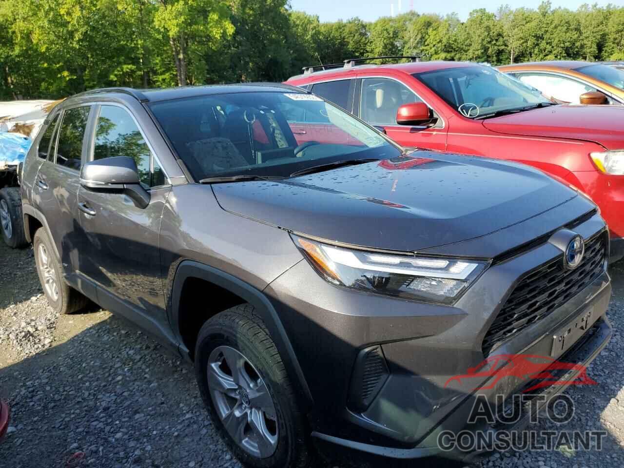 TOYOTA RAV4 2022 - 2T3RWRFV8NW142046