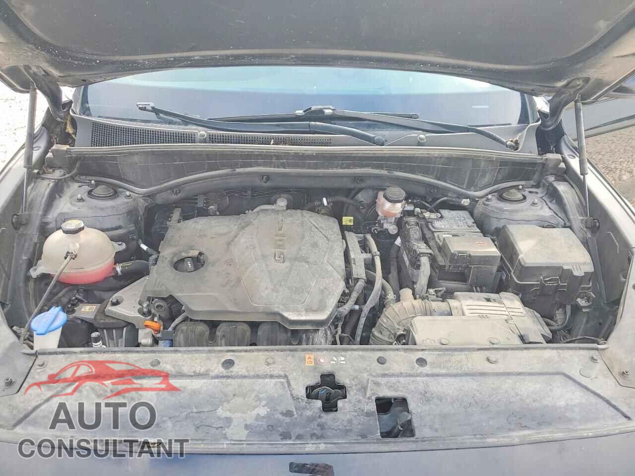HYUNDAI SANTA FE 2023 - 5NMS14AJ6PH650384