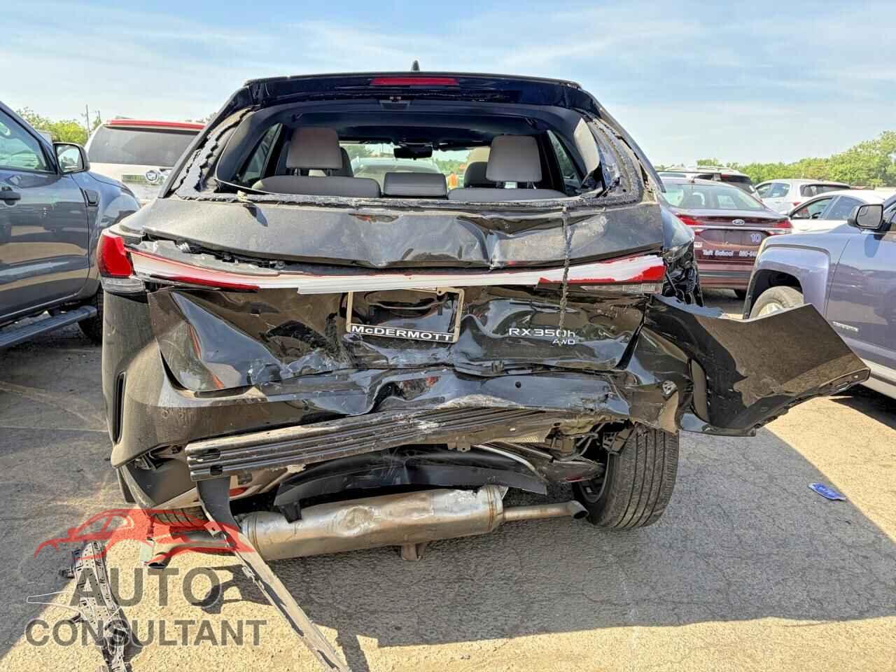 LEXUS UNKNOWN 2024 - 2T2BBMCA7RC034854