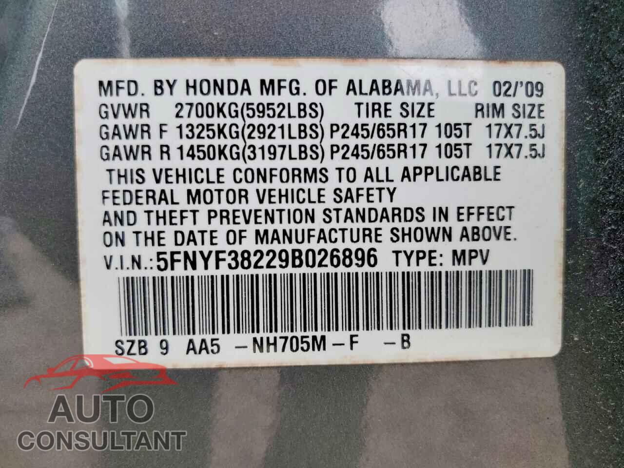 HONDA PILOT 2009 - 5FNYF38229B026896