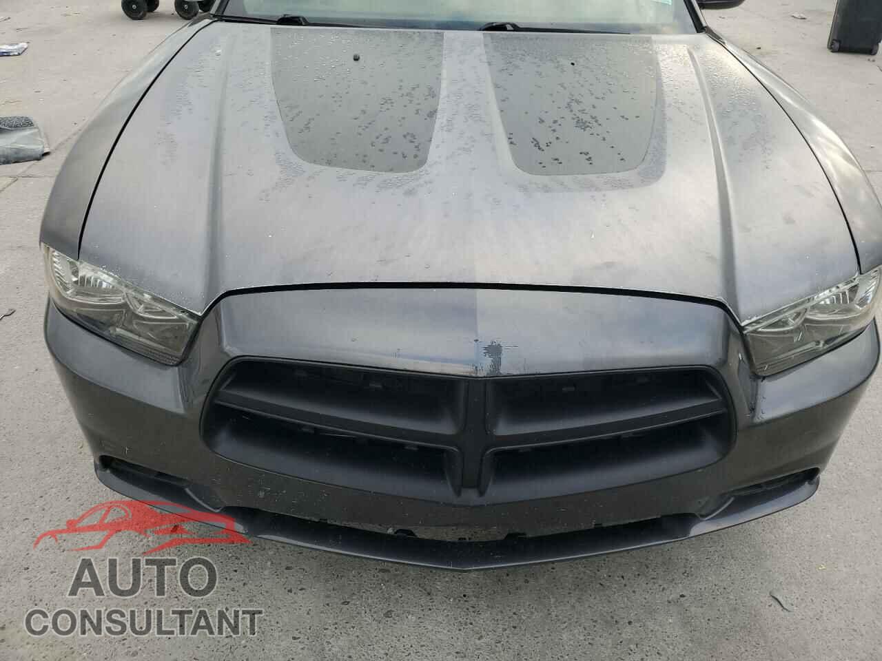 DODGE CHARGER 2013 - 2C3CDXHG3DH545921