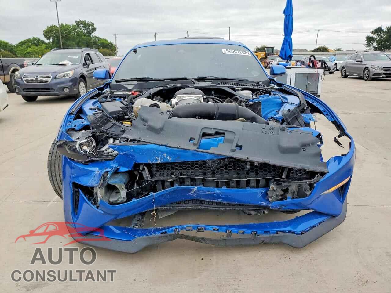 FORD MUSTANG 2019 - 1FA6P8CF0K5101877
