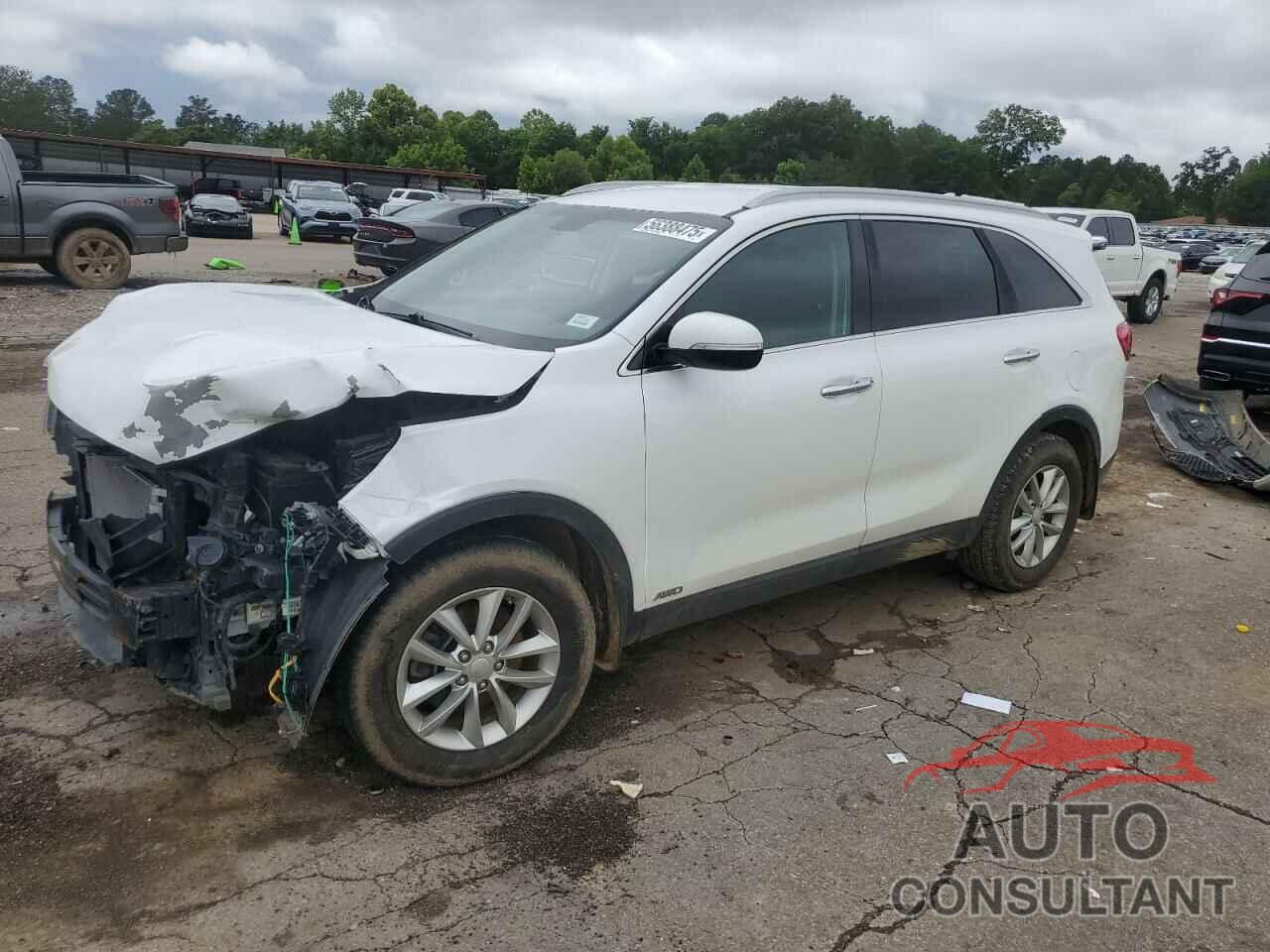 KIA SORENTO 2016 - 5XYPGDA36GG109500