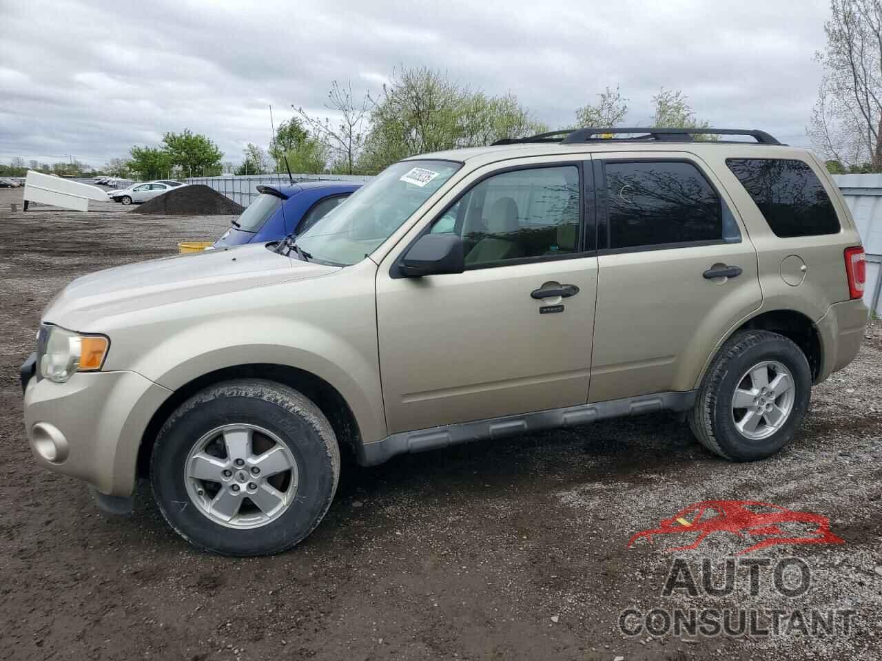 FORD ESCAPE 2010 - 1FMCU0DG6AKB49085