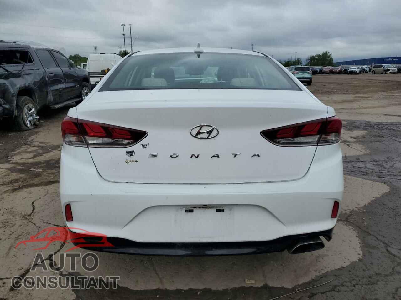 HYUNDAI SONATA 2019 - 5NPE34AF6KH749432