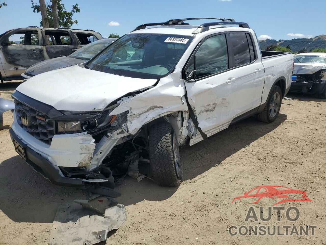 HONDA RIDGELINE 2024 - 5FPYK3F66RB009530