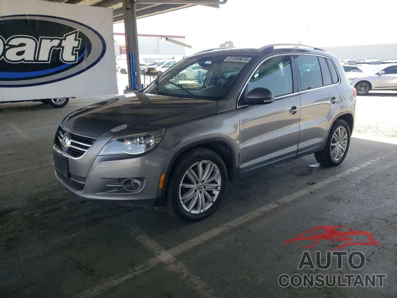 VOLKSWAGEN TIGUAN 2010 - WVGAV9AX8AW511830