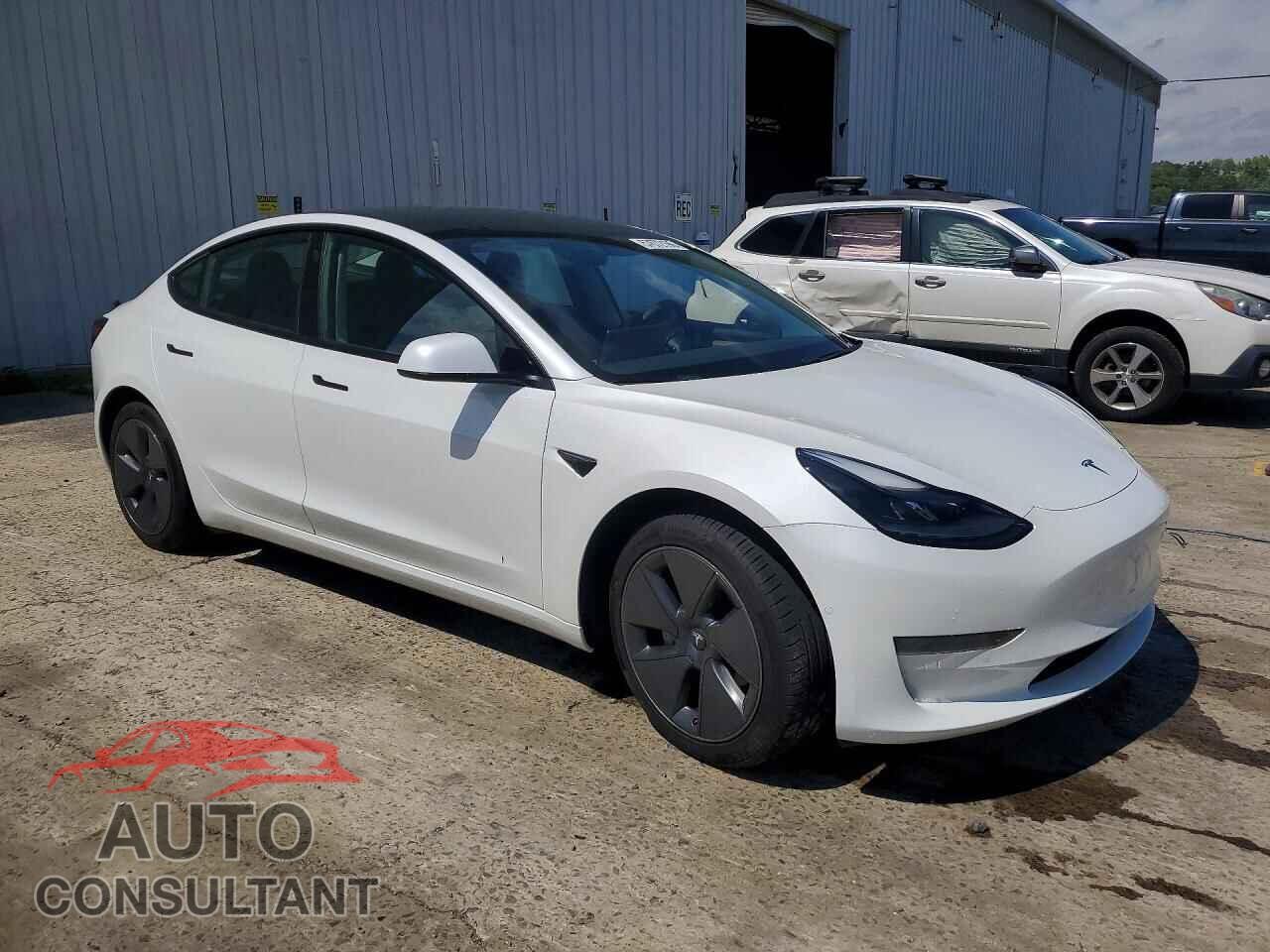 TESLA MODEL 3 2021 - 5YJ3E1EA2MF031019