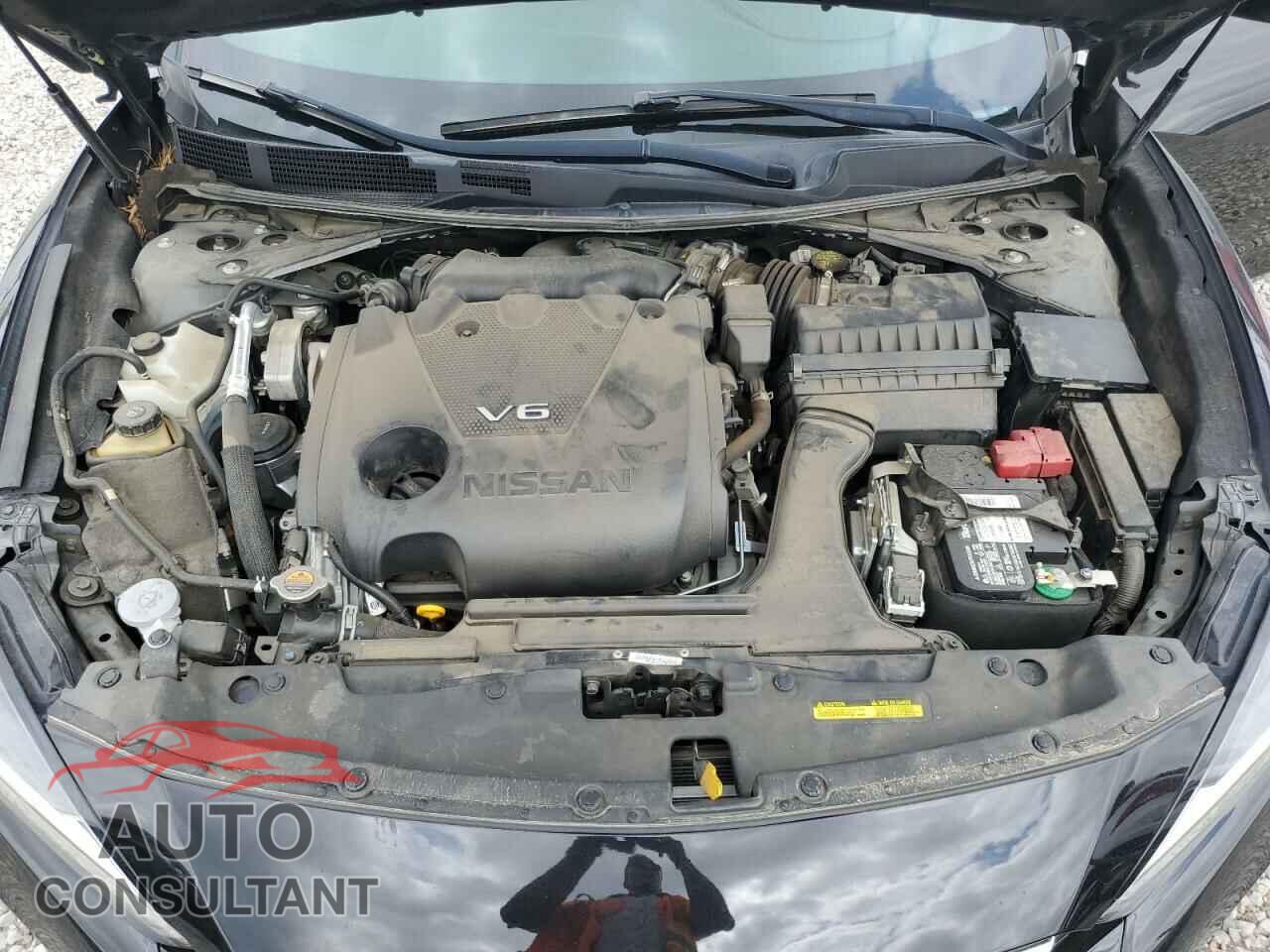 NISSAN MAXIMA 2019 - 1N4AA6AV1KC373425