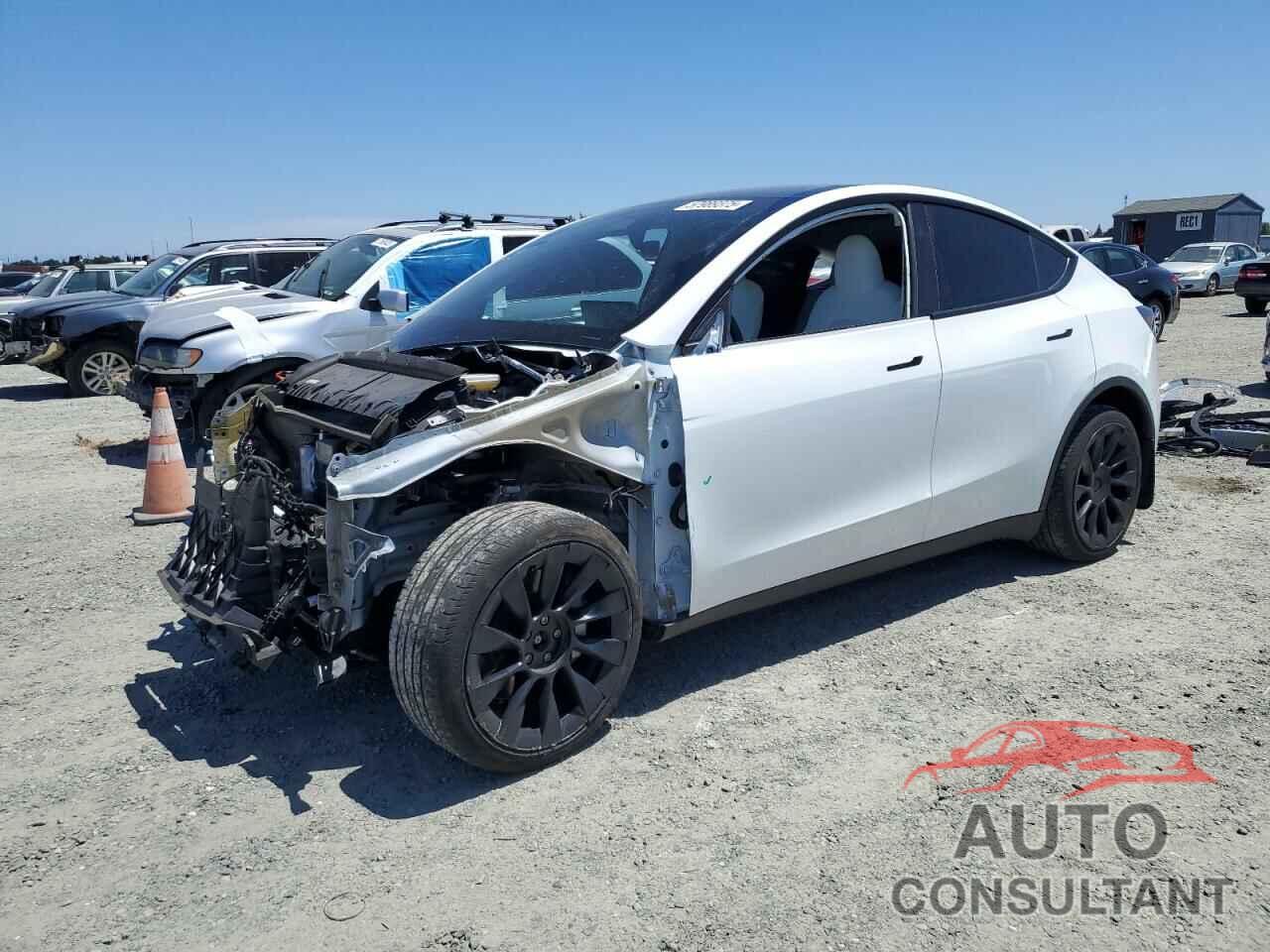 TESLA MODEL Y 2024 - 7SAYGDEE4RF054753