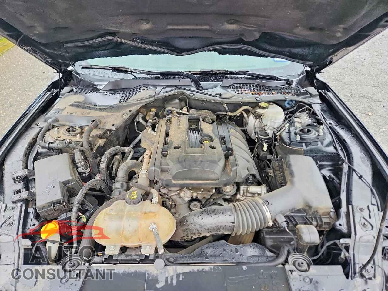 FORD MUSTANG 2019 - 1FA6P8TH5K5117882