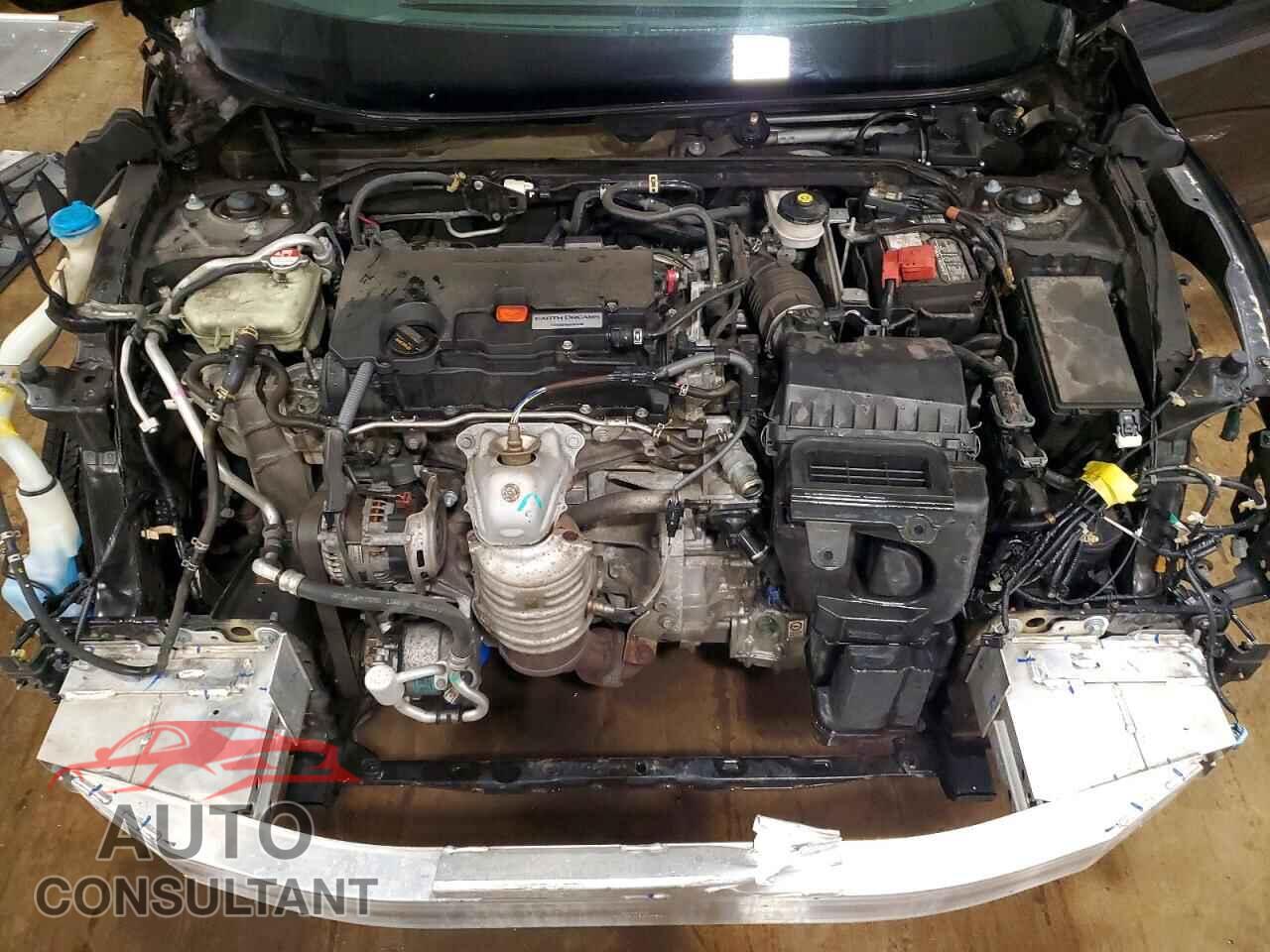 HONDA CIVIC 2017 - 2HGFC2F55HH512989