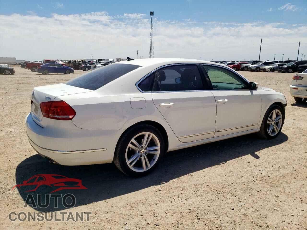 VOLKSWAGEN PASSAT 2013 - 1VWCM7A36DC044461