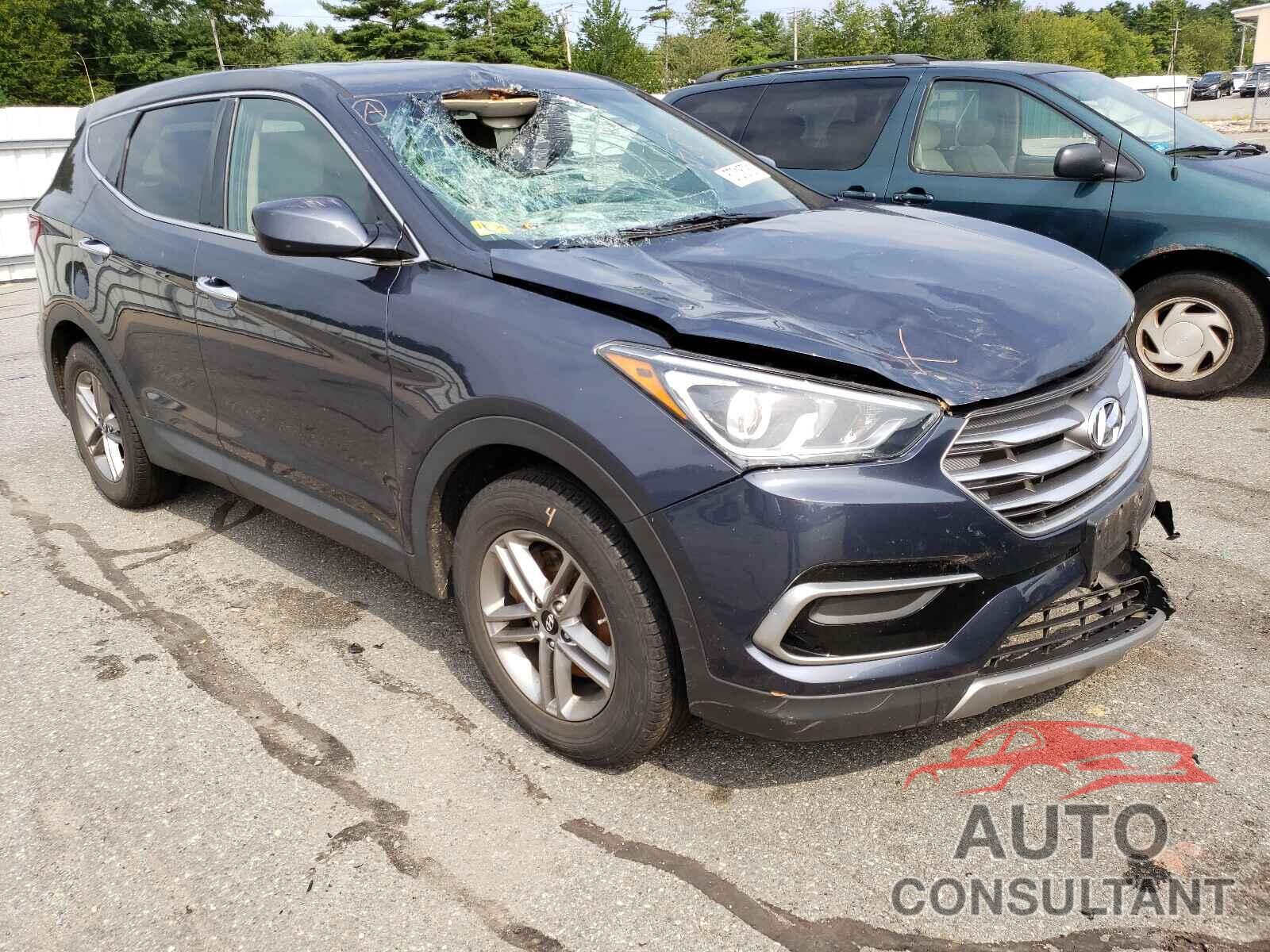 HYUNDAI SANTA FE 2017 - 5NMZTDLB8HH025047