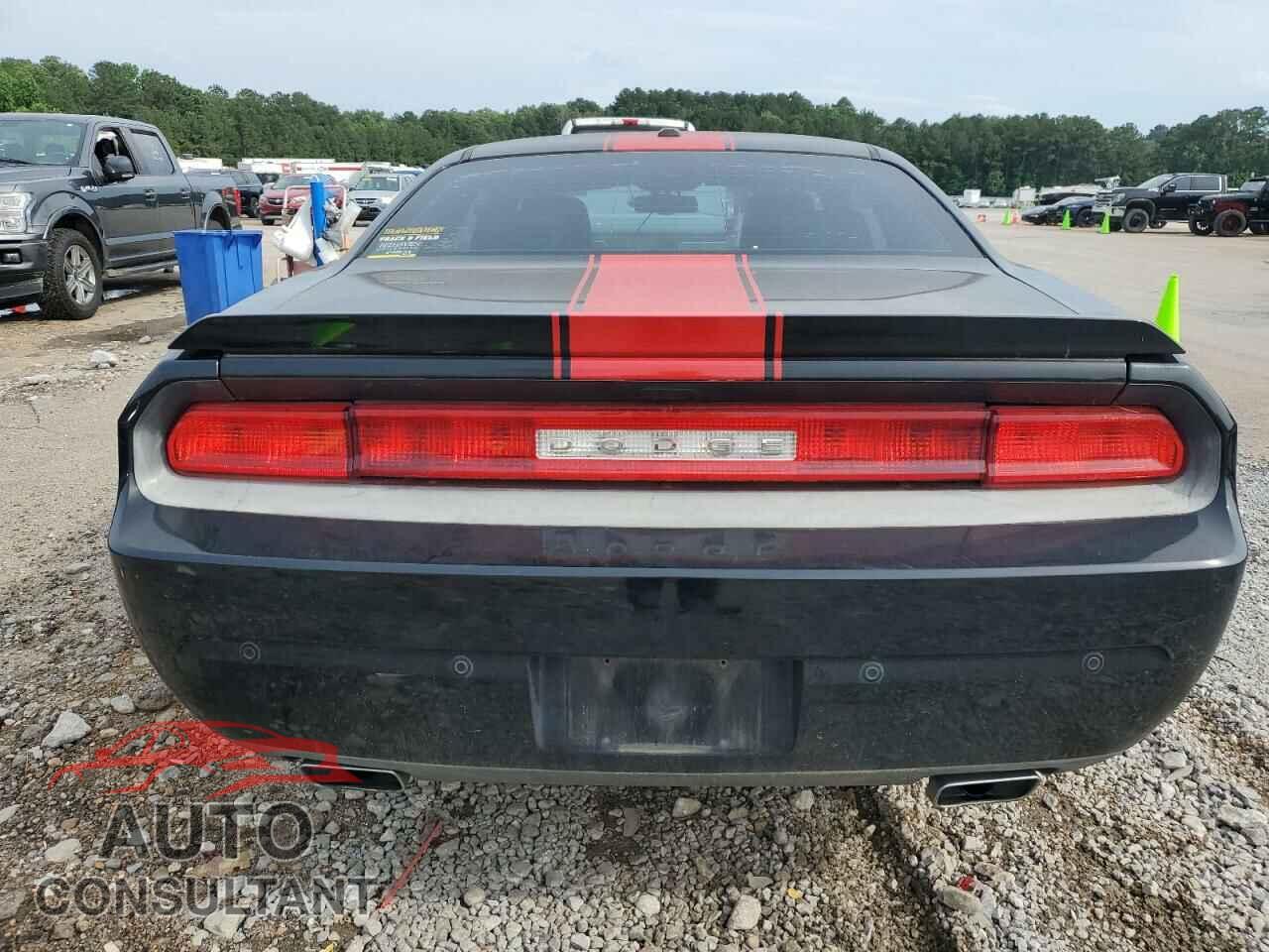 DODGE CHALLENGER 2013 - 2C3CDYAG5DH676283