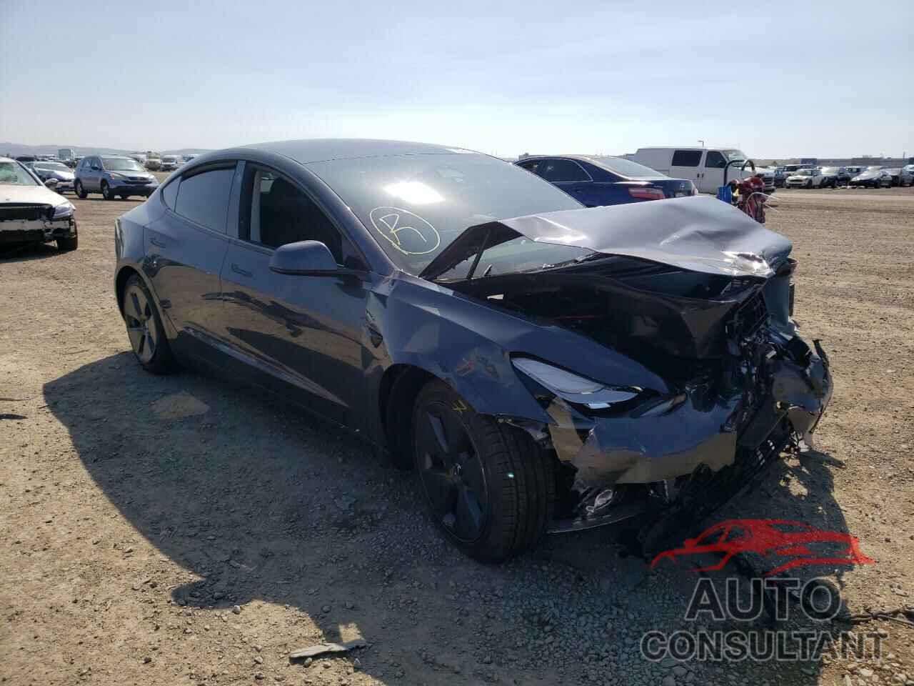 TESLA MODEL 3 2021 - 5YJ3E1EA9MF876031