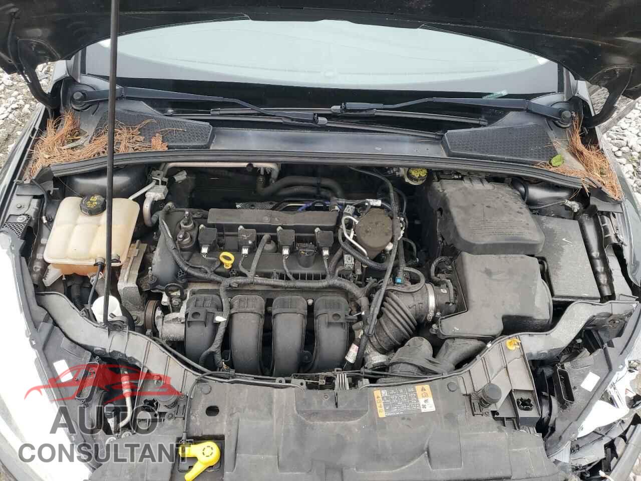 FORD FOCUS 2015 - 1FADP3F25FL357209