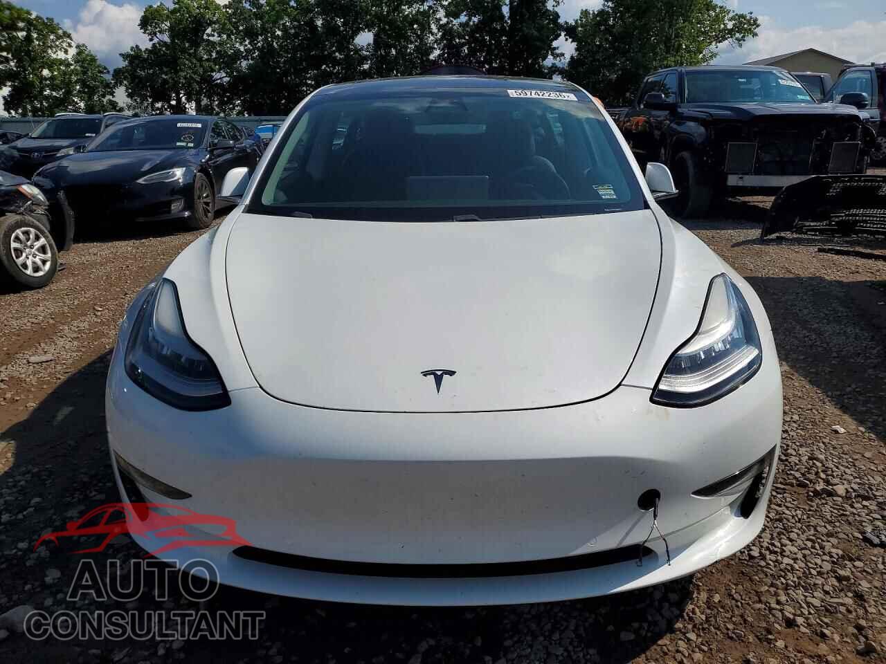 TESLA MODEL 3 2020 - 5YJ3E1EA2LF745022