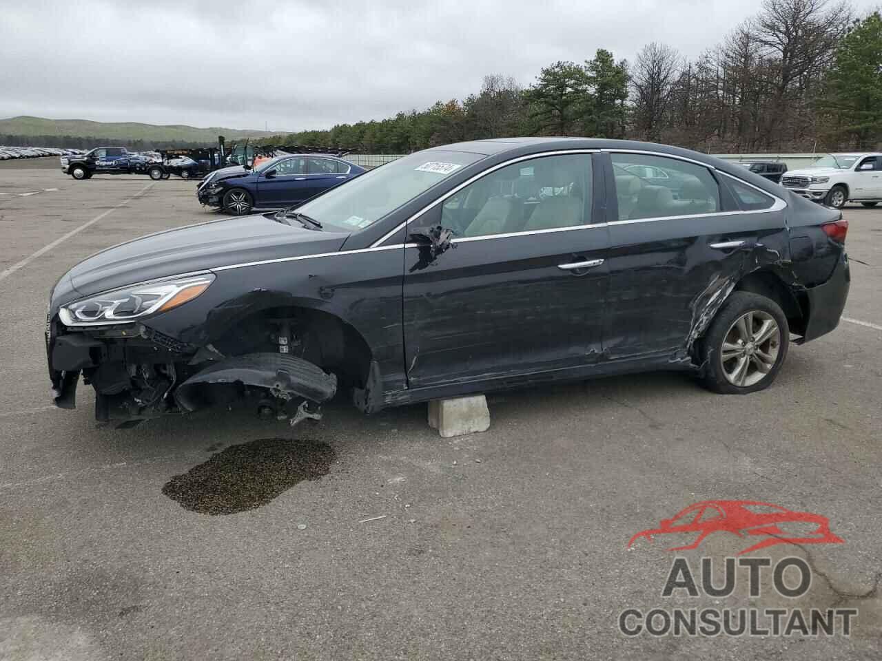 HYUNDAI SONATA 2019 - 5NPE34AFXKH805226