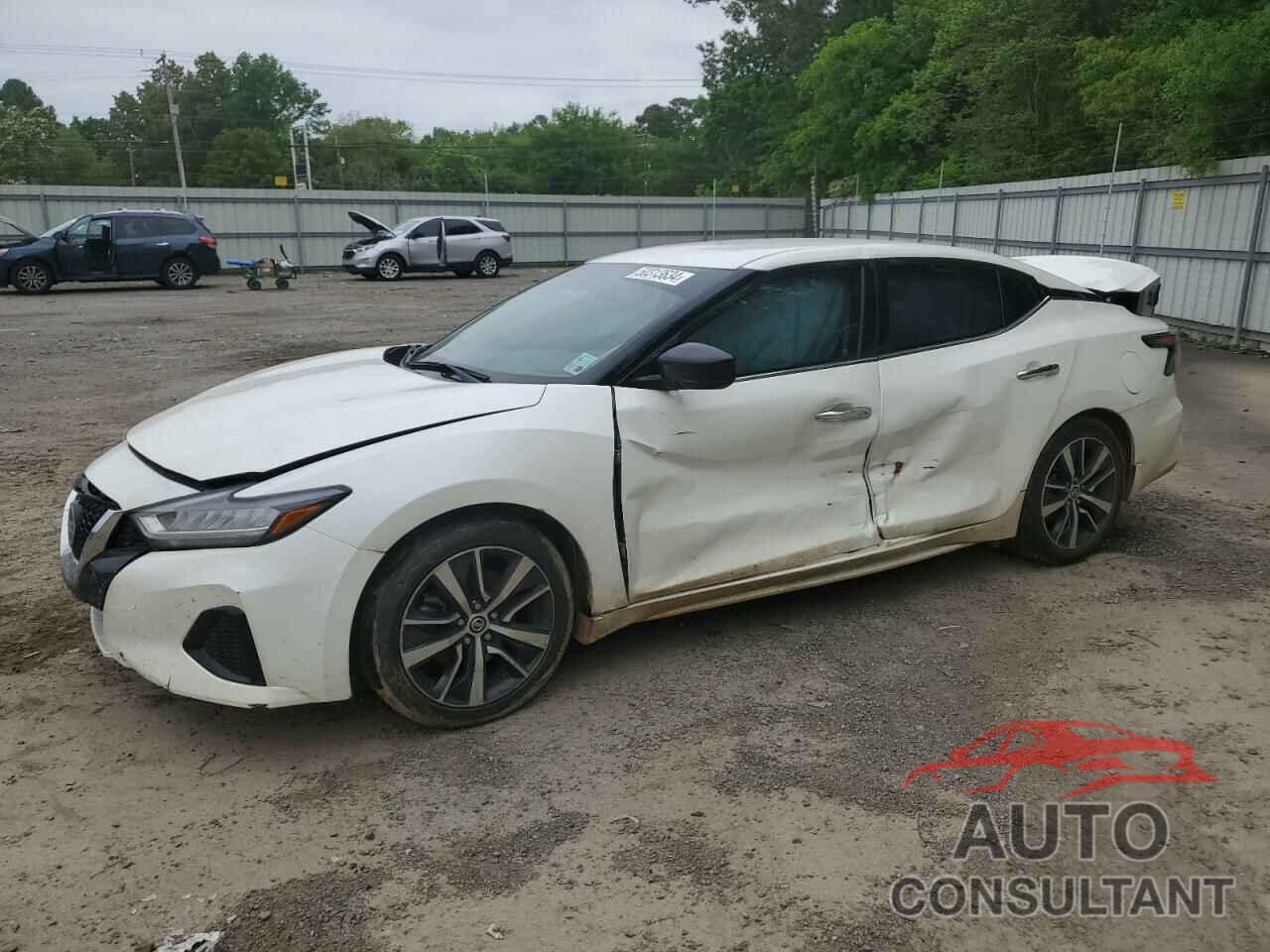 NISSAN MAXIMA 2019 - 1N4AA6AV0KC381466