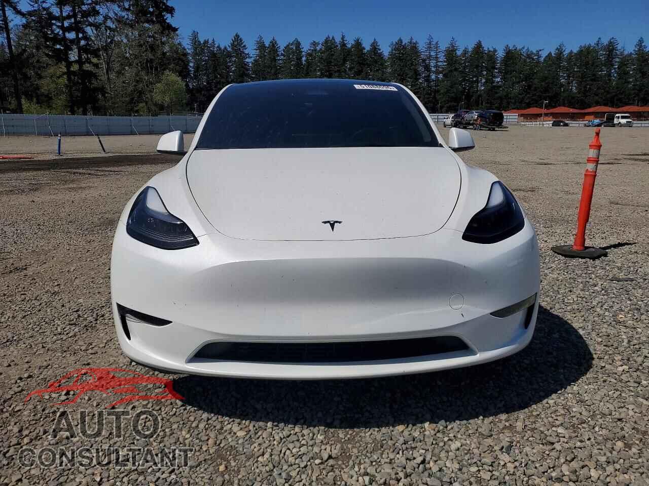 TESLA MODEL Y 2024 - 7SAYGAEE0RF986107