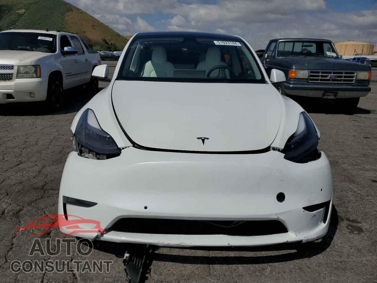 TESLA MODEL Y 2022 - 7SAYGDEF2NF384121