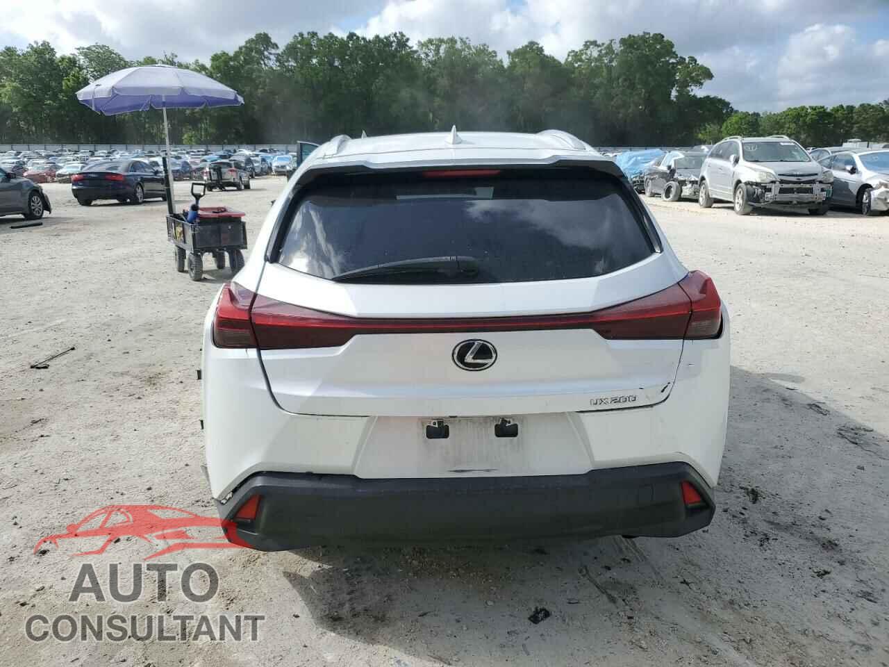LEXUS UX 200 2019 - JTHY3JBH5K2016803