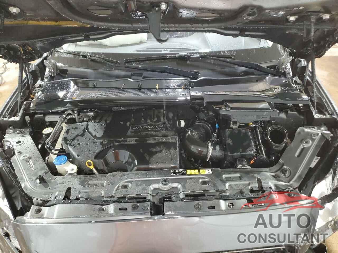 JAGUAR ETYPE 2020 - SADFP2FX1L1010075
