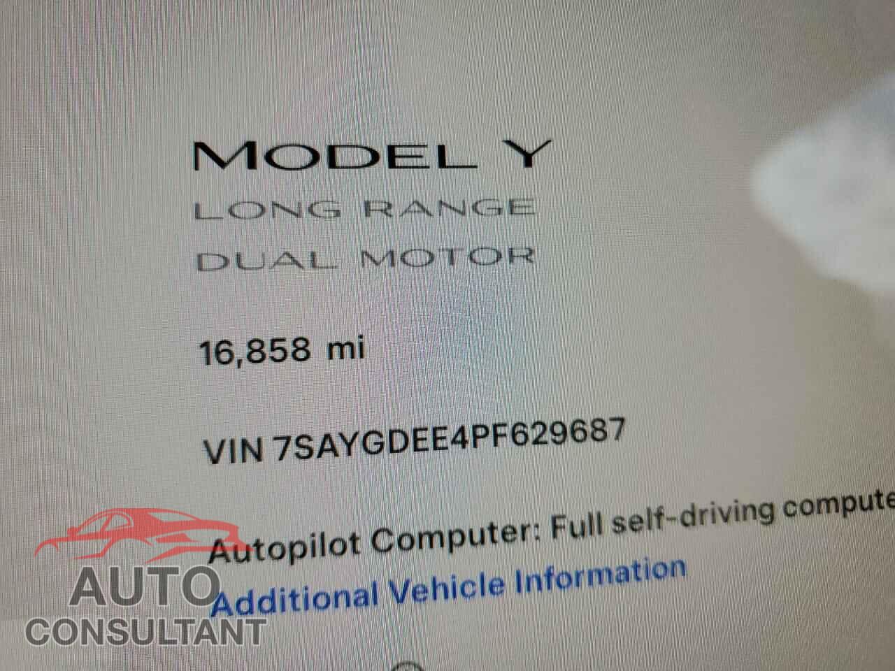 TESLA MODEL Y 2023 - 7SAYGDEE4PF629687