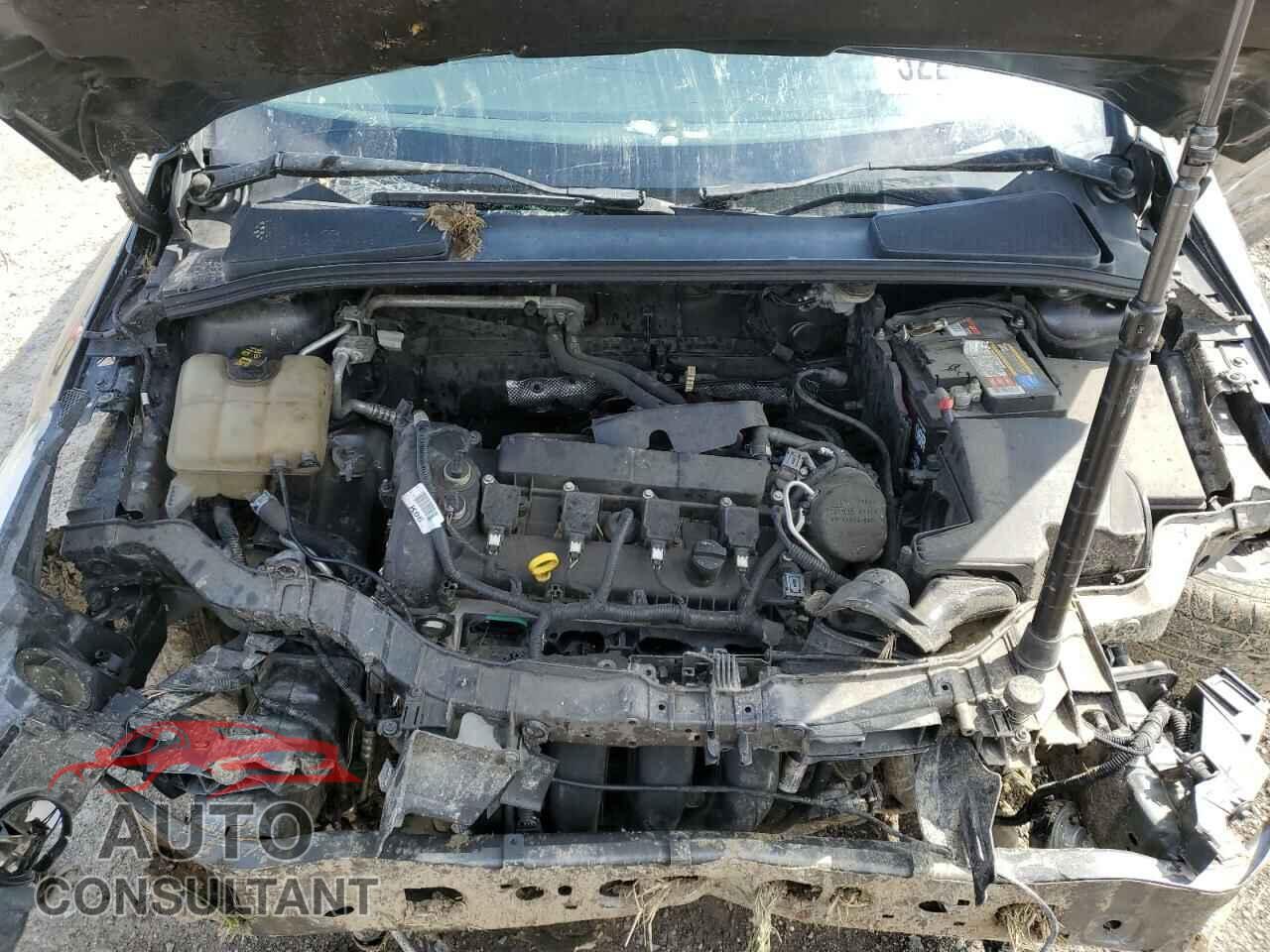 FORD FOCUS 2016 - 1FADP3F22GL288769