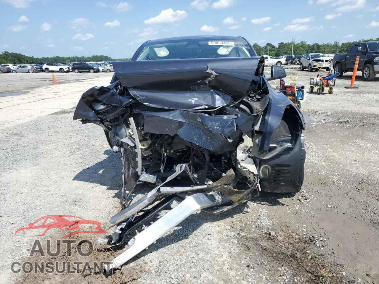 TESLA MODEL Y 2024 - 7SAYGDED2RF094708