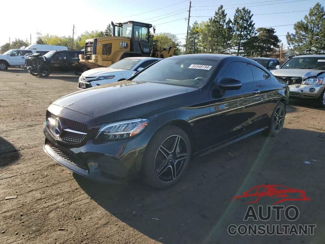 MERCEDES-BENZ C-CLASS 2020 - W1KWJ8EB7LF987400