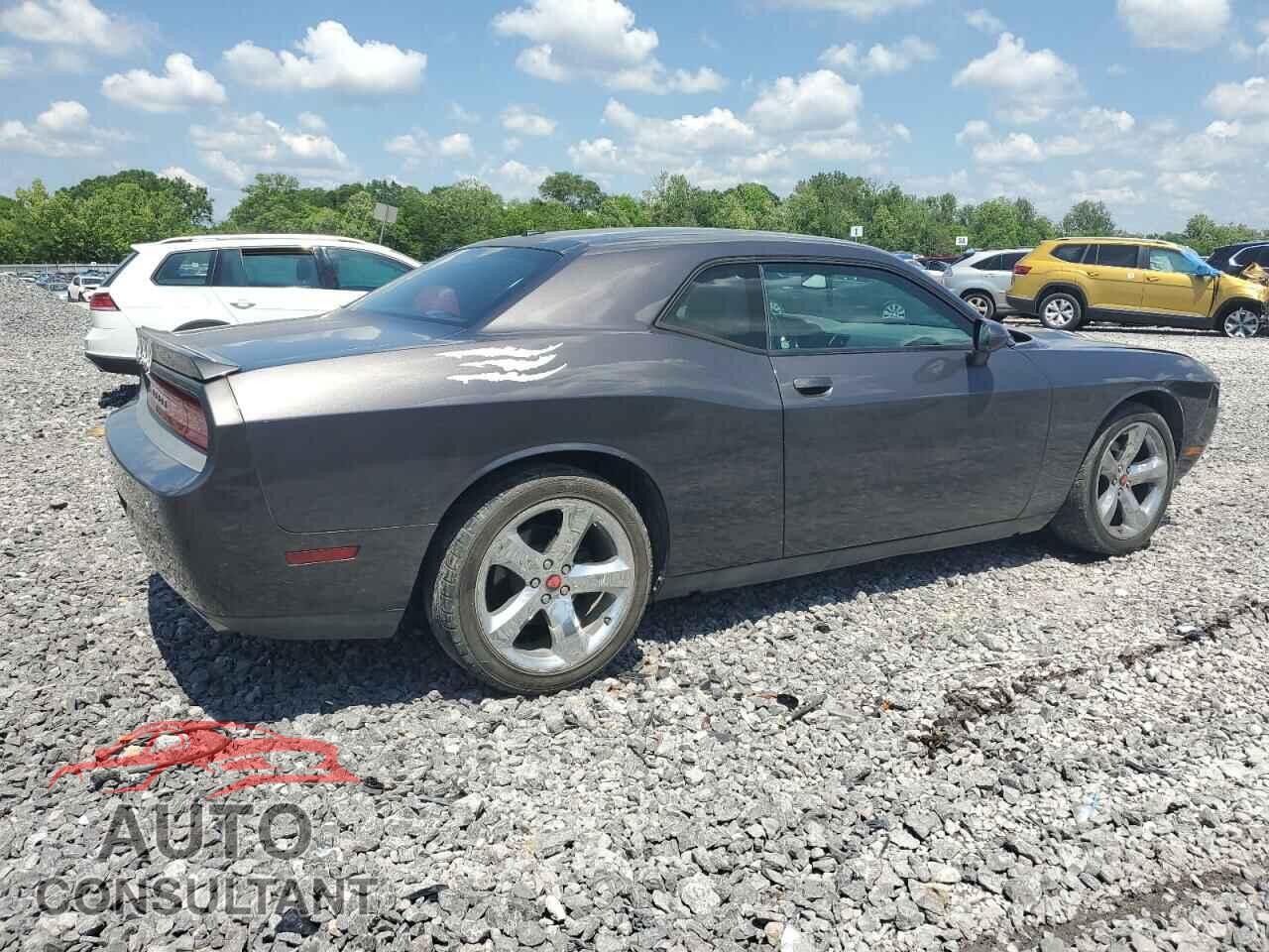 DODGE CHALLENGER 2014 - 2C3CDYAG0EH256089