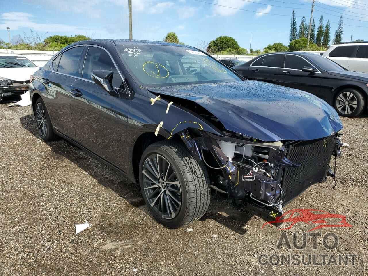 LEXUS ES300 2022 - 58ADA1C15NU018488